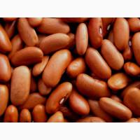 Квасоля сортова оптом від виробника