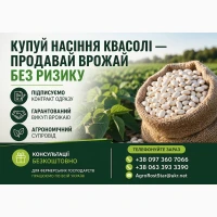 Насіння білої квасолі з контрактом на викуп врожаю