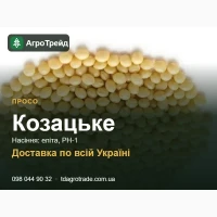 Сортове насіння проса Козацьке, еліта, РН-1