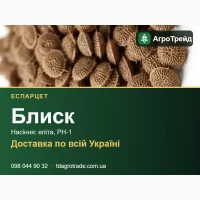 Еспарцет Блиск - насіння для посіву