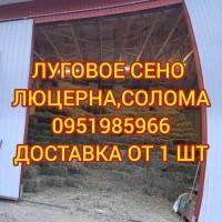 Продажа сена для лошадей, овец, коз, КРС с доставкой