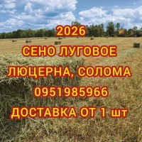 Сено сіно солома в тюках мешках от производителя с доставкой