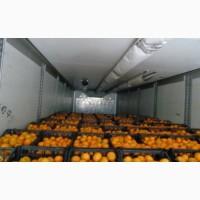 Продам мандарины грузинские и климинтинка