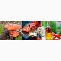 Мухомор сушенный красный дешево 10 грн
