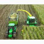 Отруби кукурузные