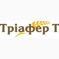 Продам Фунгіцид Тріафер Т 300 КС, 10 л., TERRA VITA