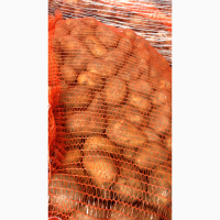 Продам товарный картофель Аризона
