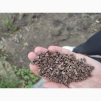 Продам гречку