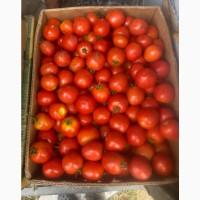 Продам томати. Асвон. Гарна якість