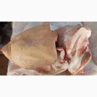 Продам баки свинні За запитом