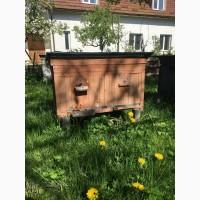 Продам обладнання для пасіки б/у