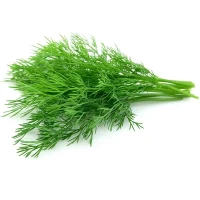 Куплю кріп