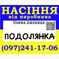 Елітне насіння озимої пшениці Подолянка від виробника / 2026