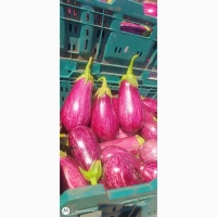 Продам баклажан графитовый