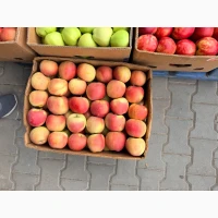 Продам яблука Голден, Принц, Чемпіон та інші