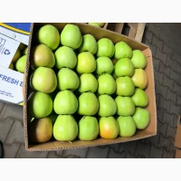 Продам яблука Голден, Принц, Чемпіон та інші