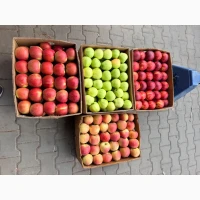 Продам яблука Голден, Принц, Чемпіон та інші
