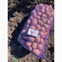 Продаж Білла Росса