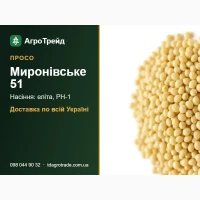 Просо Миронівське 51: насіння для посіву