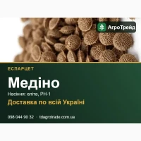 Еспарцет Медіно: продаж насіння, еліта, РН-1