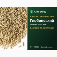 Житняк гребінчастий Глобинський - насіння для посіву