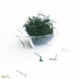 Ламинария сушеная