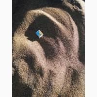 Продаю семена люцерны не магниченой