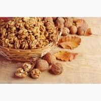 Продам горіхи