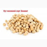 Нут 3ехв8ит (ZEHbVIT), И3рвиль, 1-репр0дукция (пр0трв8ленный)