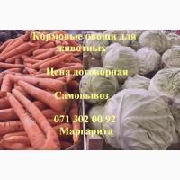 Кормовые овощи; Корма для животных; Овощи для животных