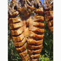 Мясо колбасные изделия, домашнего копчения