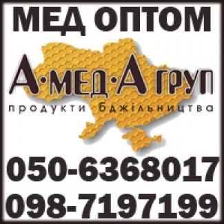 Мед оптом купуємо на постійній основі АМЕДА ГРУП