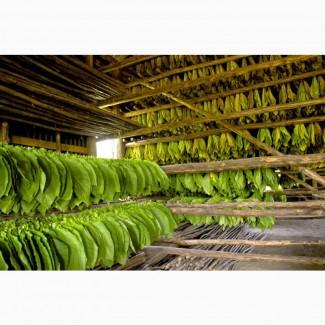 Продам Махорку Самосад без пыли и мусора! Супер цена