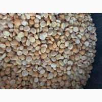 Продам горох жовтий колотий