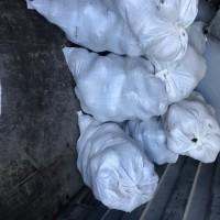 Продам буряк