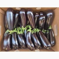 Продам баклажан відмінної якості