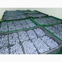 Надаємо послуги заморозки, переробки, фасування, зберігання ягід