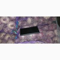 Продам буряк товарний