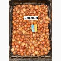 Продам тыканку, арпажик, арпаж, сеянка, штутгарт
