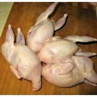 Продам мясо перепелів