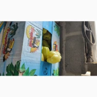 Томат, Перець, Кукурудза, Баштанні, Баклажан