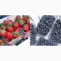 Продаж свіжої полуниці та лохини