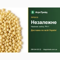 Просо Незалежне: насіння для посіву