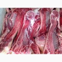 Продам свиней в полутушах оптом