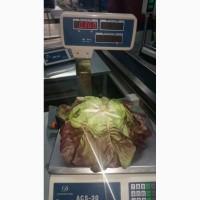 Продаем салат латук красный оптом, мелким оптом