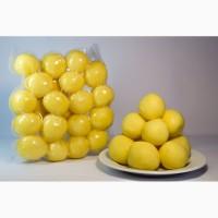 Продам Чищений катофель