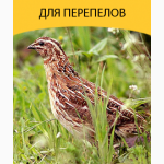 Продам от производителя комбикорма ТМ
