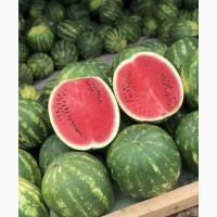 Арбузы кавуны