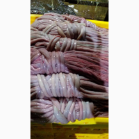 Куплю кишку свиную
