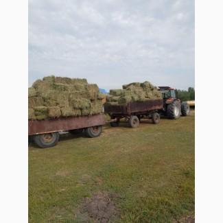 Продам сено.солому.люцерну в тюках